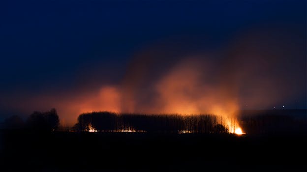 Bosbrand met hoge prioriteit gemeld aan Utrechtseweg in Hilversum