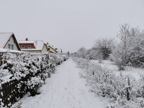 Sneeuw in Oogophuizen: hinder op weg, school en evenementen