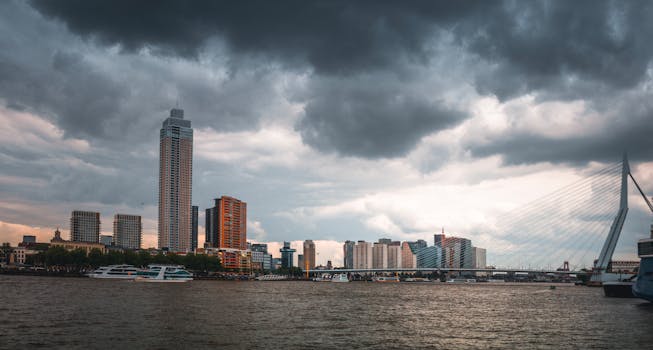 Weer Rotterdam vandaag: lokale update met wind en buien