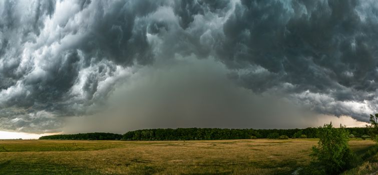 Storm Benjamin boven Oogophuizen met natte straten, waaiende bomen en een lege bushalte in de dorpskern