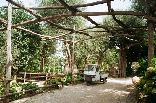 Compacte pergola in een kleine achtertuin in Oogophuizen met houten frame, schaduwdoek en klimplanten