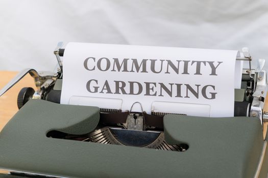 Groene tuin bij een woning in Oogophuizen met planten, regenton en minder tegels als voorbeeld van subsidie voor tuinvergroening